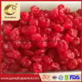 Hot Sale and Healthy Dried Cherry